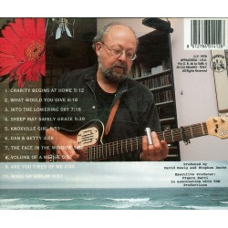 CD David Essig- into the lowering sky