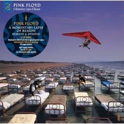 LP PINK FLOYD " A MOMENTARY...