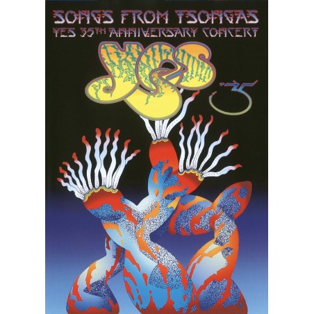 DVD Yes songs from tsongas 35th anniversary concert ( doppio dvd)