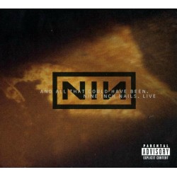 CD NIN-and all that could have been 606949318529