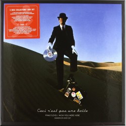 CD PINK FLOYD WISH YOU WERE HERE IMMERSION BOX SET 5 CD 5099902943527