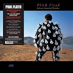 LP PINK FLOYD DELICATE SOUND OF THUNDER 190295996932